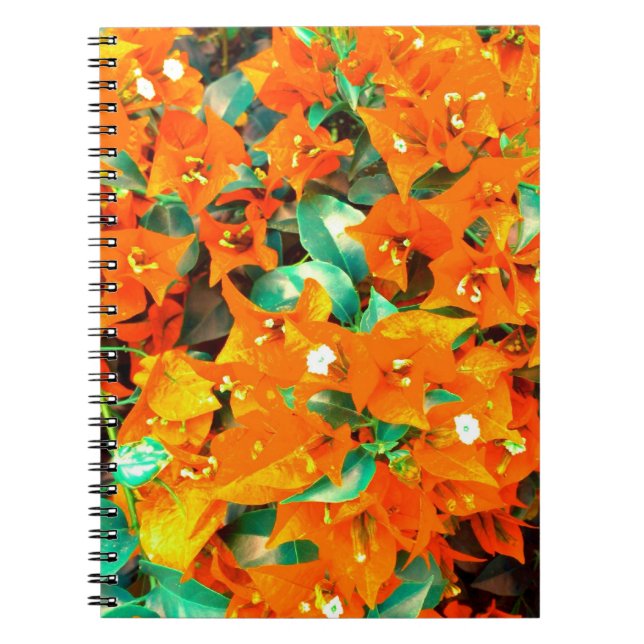 Cuaderno Vibrantes Flores de Buganvilla Naranja (Frente)