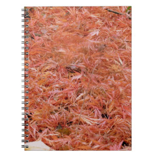 Cuaderno Vibrantes hojas de otoño rojas