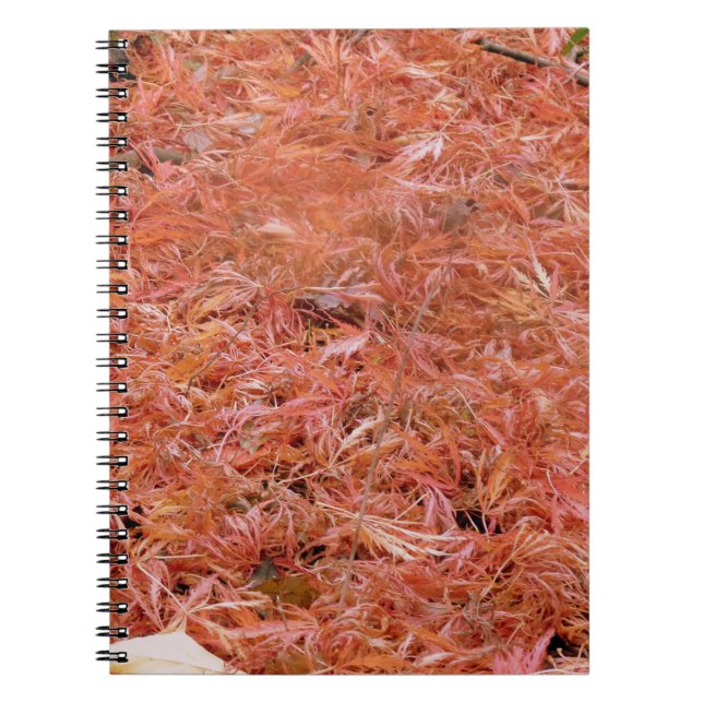 Cuaderno Vibrantes hojas de otoño rojas (Frente)