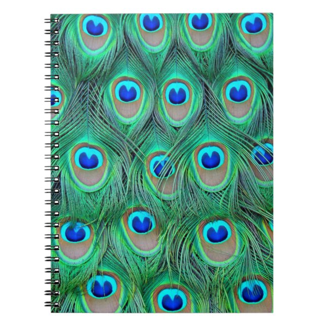 Cuaderno Vibrantes plumas de pavo real (Frente)