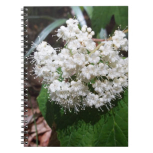 Cuaderno Viburnum de la hoja de arce