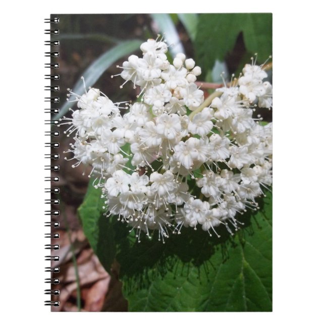 Cuaderno Viburnum de la hoja de arce (Frente)