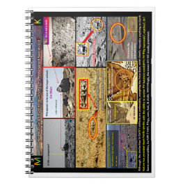 Cuaderno Vida animal marciana