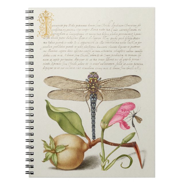 Cuaderno Vida de jardín, libélula, pera, clavel e insecto (Frente)