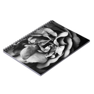 Cuaderno vida interior en desarrollo