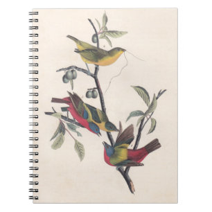 Cuaderno Vida silvestre de las aves de Bunting de Audubon