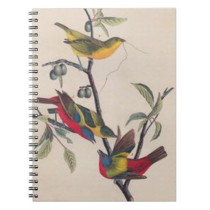 Cuaderno Vida silvestre de las aves de Bunting de Audubon