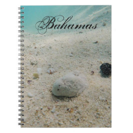 Cuaderno Vida submarina