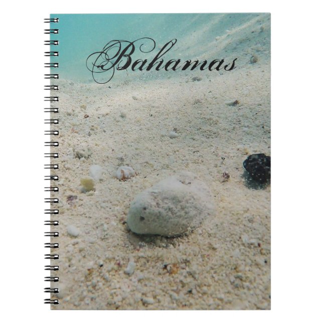 Cuaderno Vida submarina (Frente)