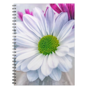 Cuaderno Vidrio roto