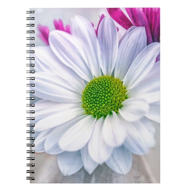 Cuaderno Vidrio roto (Frente)
