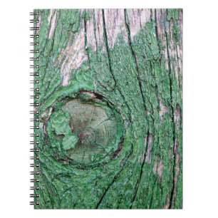 Cuaderno Viejo fondo de madera verde pintado por el tiempo,