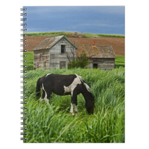 Cuaderno Viendo caballos en un campo en el Palouse 2