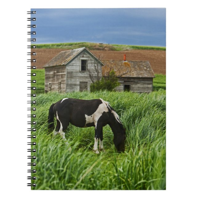 Cuaderno Viendo caballos en un campo en el Palouse 2 (Frente)