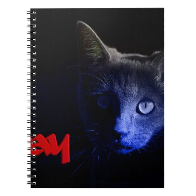 Cuaderno viernes 13 (Frente)