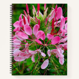Cuaderno Vietnam - flower on Ha Giang plateau