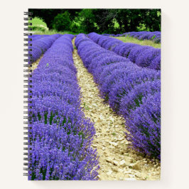 Cuaderno View of lavender fields in the Drôme provencale 