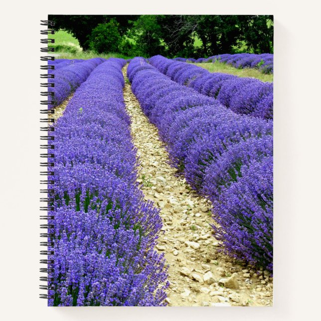 Cuaderno View of lavender fields in the Drôme provencale  (Anverso)