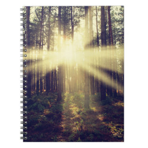 Cuaderno Vigas de sol forestales