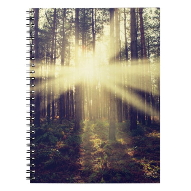 Cuaderno Vigas de sol forestales (Frente)