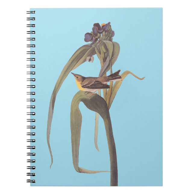Cuaderno Vigor Vireo Songbird de Audubon (Frente)