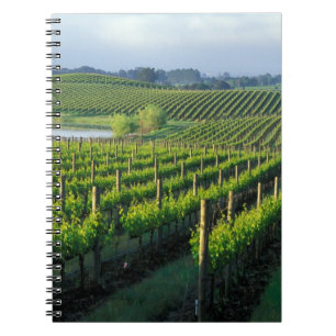Cuaderno Viñas en hileras ordenadas en Napa, California