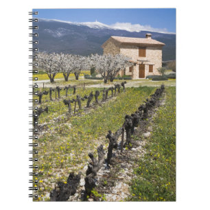 Cuaderno Viñedo inactivo, flores de frutas, casa de piedra,