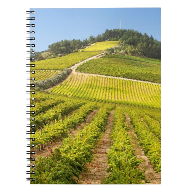 Cuaderno Viñedo, Stellenbosch, Cabo Occidental (Frente)