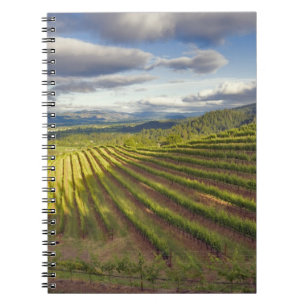 Cuaderno Viñedo. Valle de Napa. Napa. Condado de Napa,