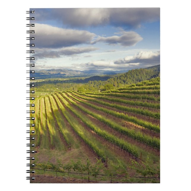 Cuaderno Viñedo. Valle de Napa. Napa. Condado de Napa (Frente)
