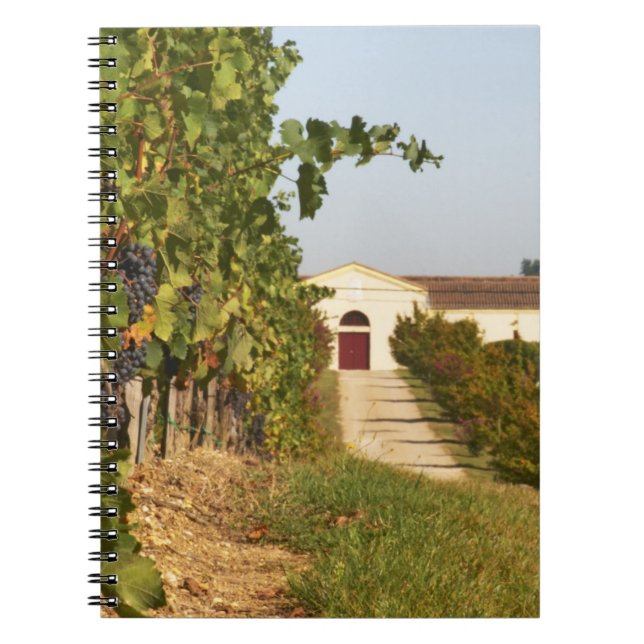 Cuaderno Viñedos, vides de petit verdot y la bodega en (Frente)