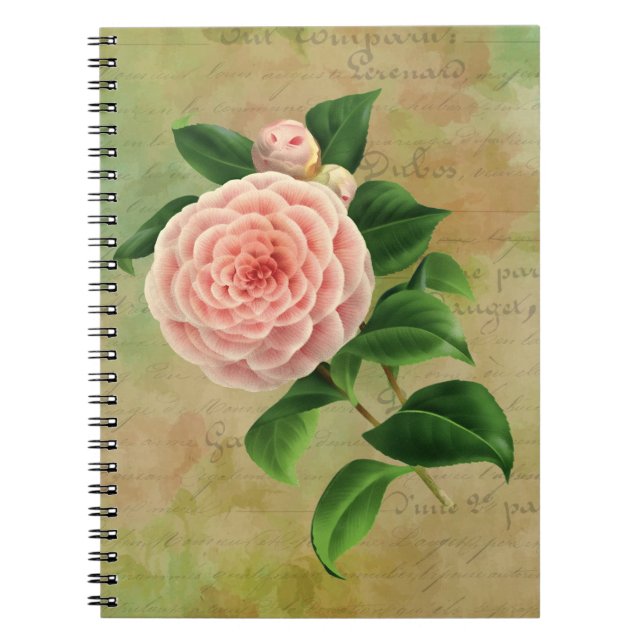 Cuaderno Viñeta Camellia Botánica Francesa (Frente)