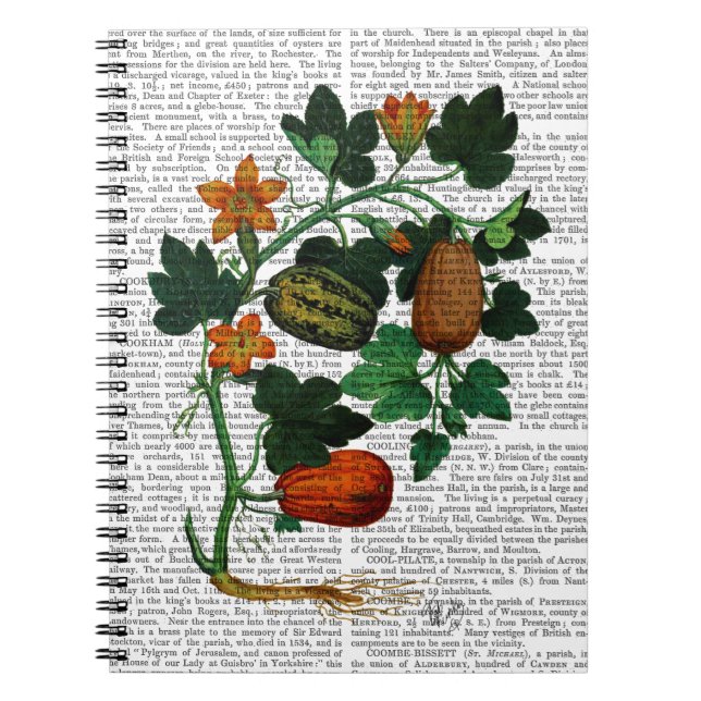 Cuaderno Vino esquash 1 (Frente)