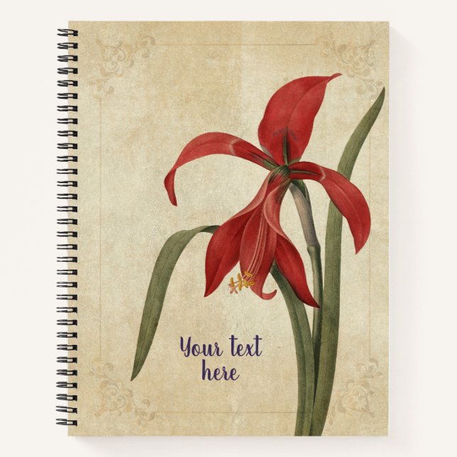 Cuaderno Vintage Amaryllis Notebook (Anverso)