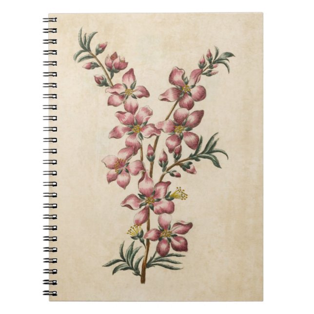 Cuaderno Vintage Botato Floral Almendra Blossom (Frente)