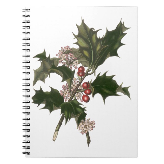 Cuaderno Vintage Christmas, Green Holly Planta con Berries (Frente)