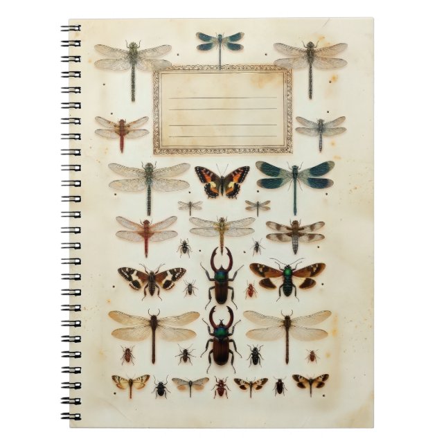 Cuaderno Vintage Dragonfly Beetle Taxonomy Specimen Chart (Frente)