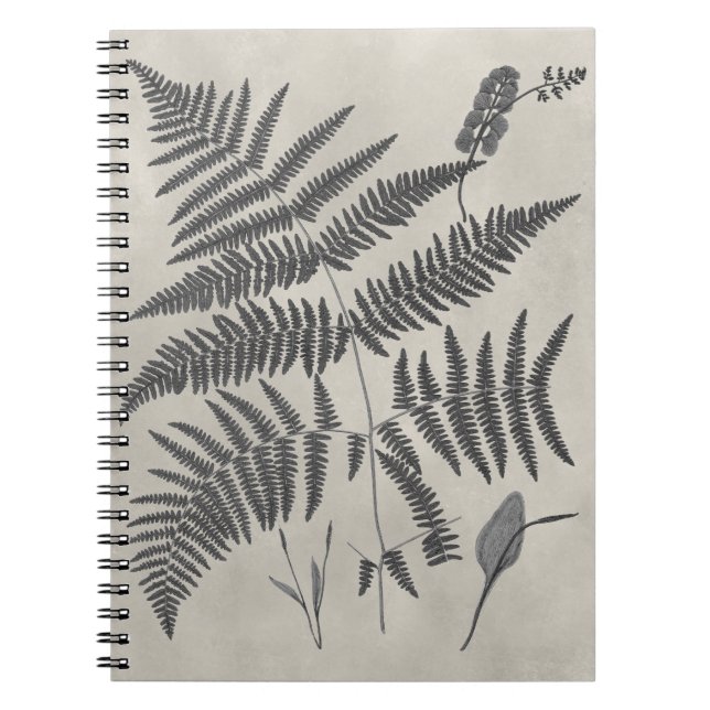 Cuaderno Vintage Ferns (Frente)