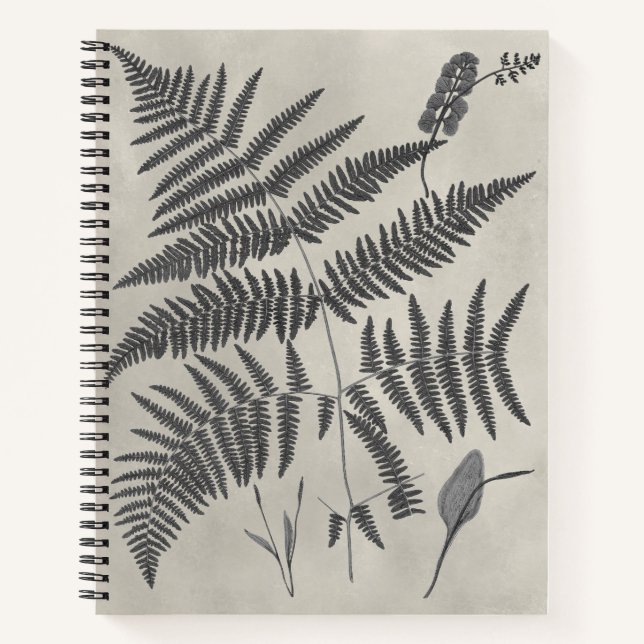 Cuaderno Vintage Ferns (Anverso)