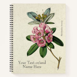 Cuaderno Vintage Hermoso Rhododendron viscosum