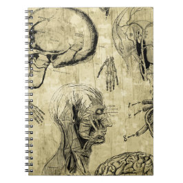 Cuaderno Vintage Human Anatomy Notebook