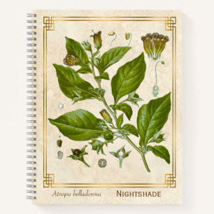 Cuaderno Vintage Medicinal Nightshade Belladonna Herb