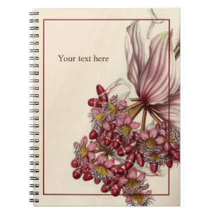 Cuaderno Vintage Medinilla Magnifica