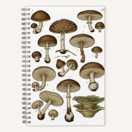 Cuaderno Vintage Mushrooms Notebook