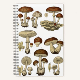 Cuaderno Vintage Mushrooms Notebook