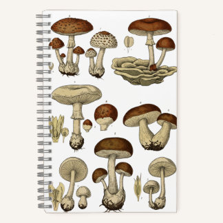 Cuaderno Vintage Mushrooms Notebook