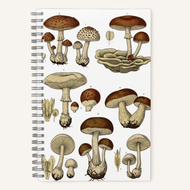 Cuaderno Vintage Mushrooms Notebook (Anverso)
