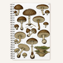 Vintage Mushrooms Notebook