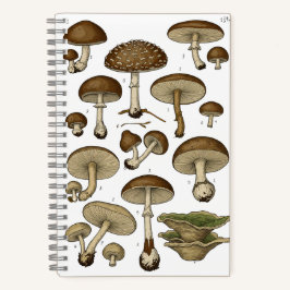 Cuaderno Vintage Mushrooms Notebook