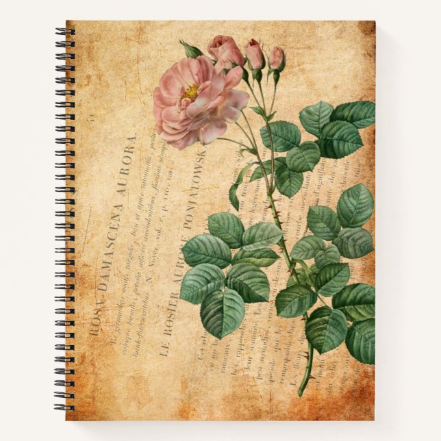Cuaderno Vintage Rosa Damascena Aurora (Anverso)